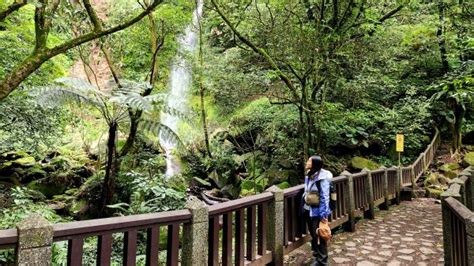 七星瀑布|絹絲瀑布步道，黃嶺埔山，苗圃登山口上七星山，七星。